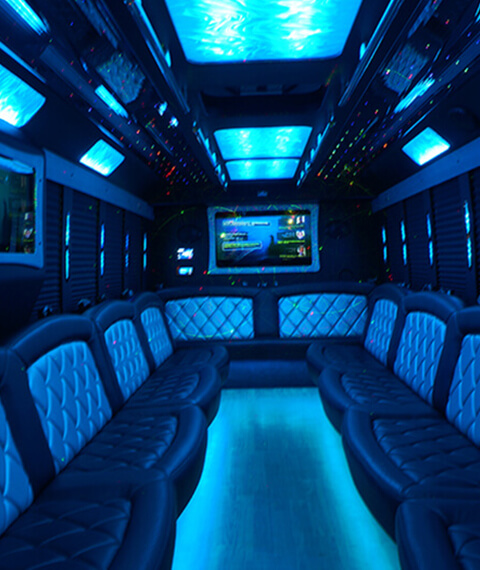 34-passenger party bus rentals